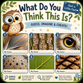 What Do you think this is? Free Download Printable